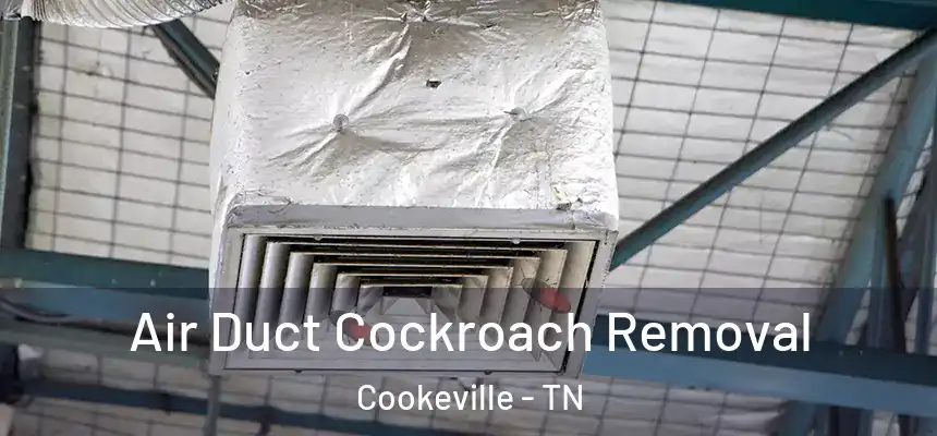  Air Duct Cockroach Removal Cookeville - TN