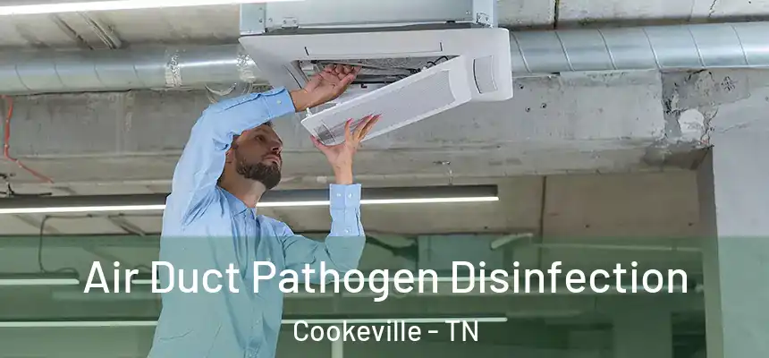  Air Duct Pathogen Disinfection Cookeville - TN