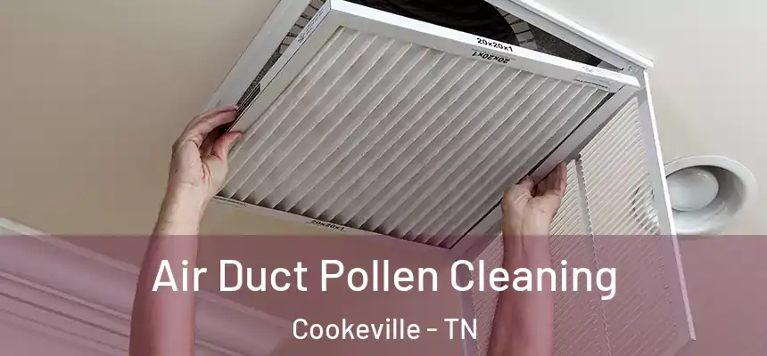 Air Duct Pollen Cleaning Cookeville - TN