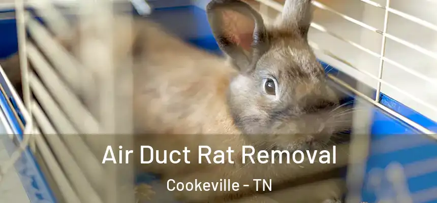 Air Duct Rat Removal Cookeville - TN
