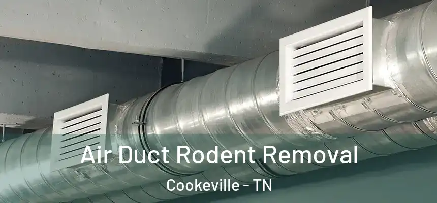 Air Duct Rodent Removal Cookeville - TN