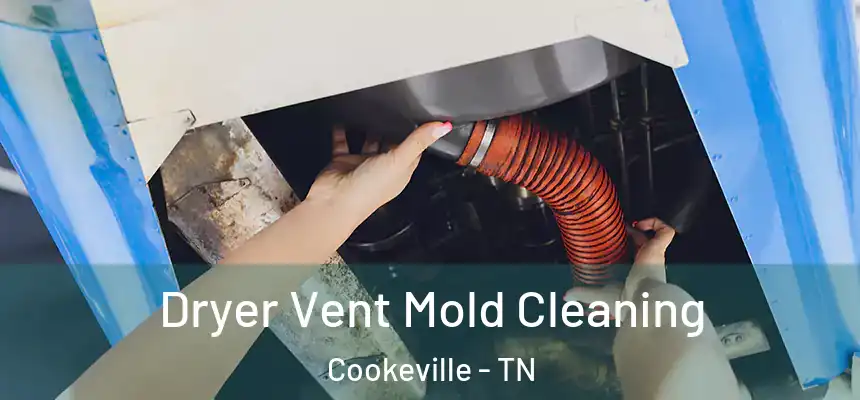  Dryer Vent Mold Cleaning Cookeville - TN