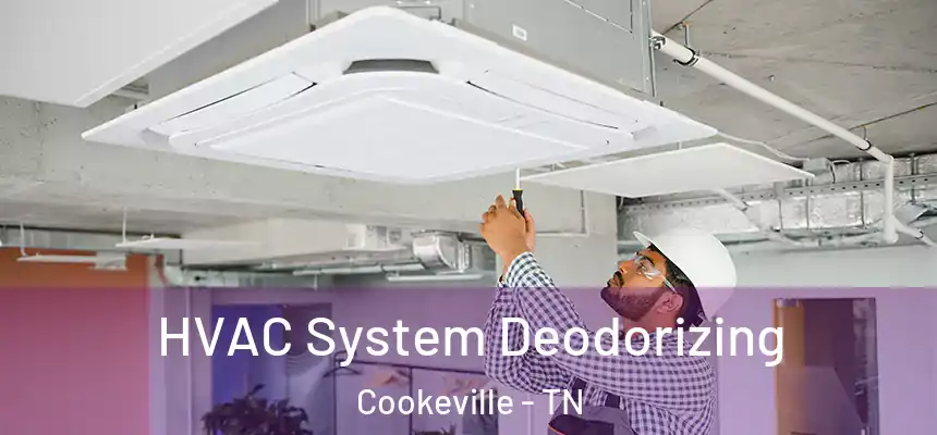  HVAC System Deodorizing Cookeville - TN