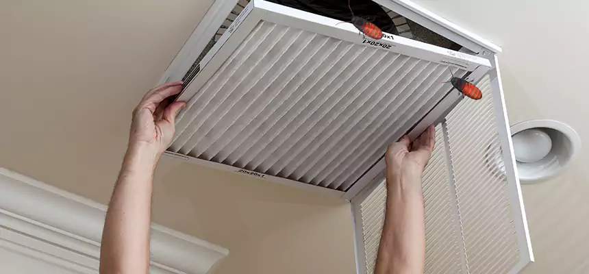 Preventive Cockroach-Proofing for Ducts in Cookeville