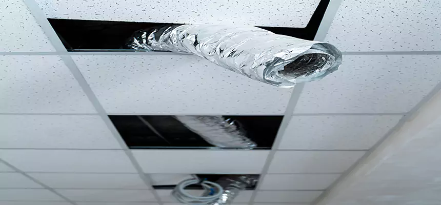 Our Air Duct Pet Hair Removal Services in Cookeville, TN