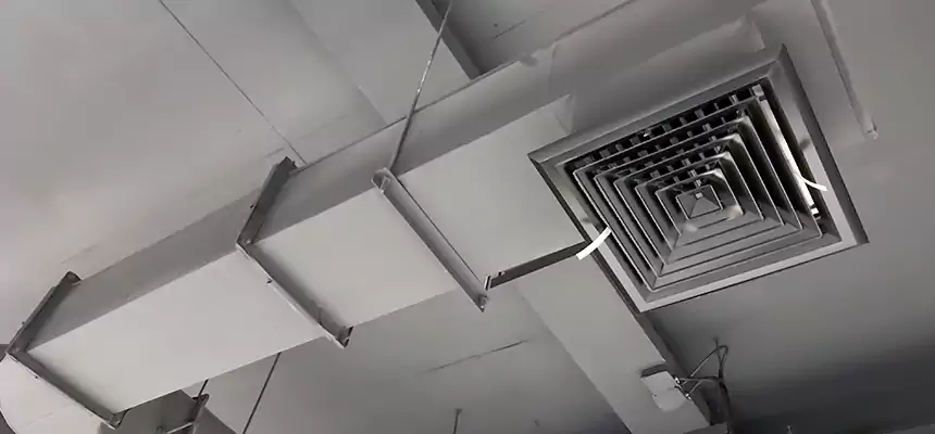 Our Pest Removal From Ducts Services in Cookeville, TN