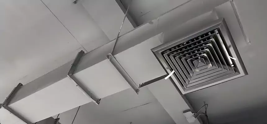 Our Rodent Droppings In Vents Services in Cookeville, TN