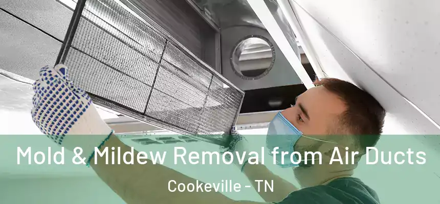  Mold & Mildew Removal from Air Ducts Cookeville - TN