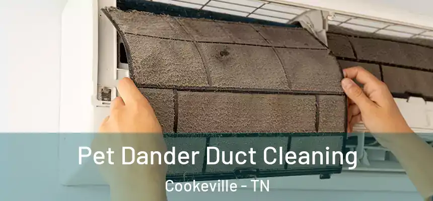 Pet Dander Duct Cleaning Cookeville - TN