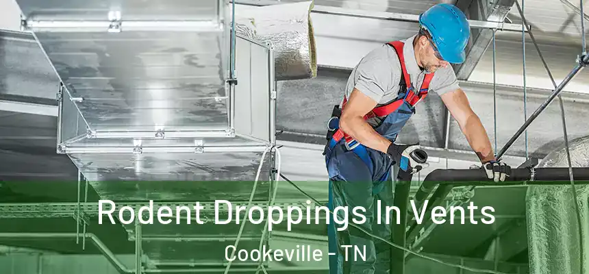 Rodent Droppings In Vents Cookeville - TN