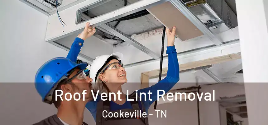 Roof Vent Lint Removal Cookeville - TN