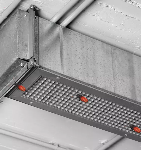 About Air Duct Cockroach Removal in Cookeville, TN