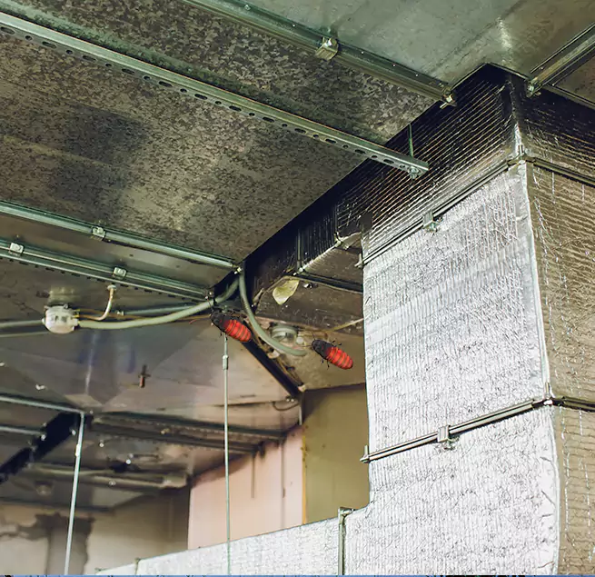 Why Homeowners & Businesses Trust Us in Cookeville, TN?