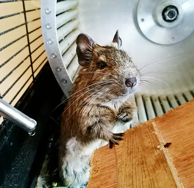 Why Homeowners & Businesses Trust Us Cookeville, TN